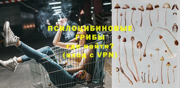 круглые Алзамай