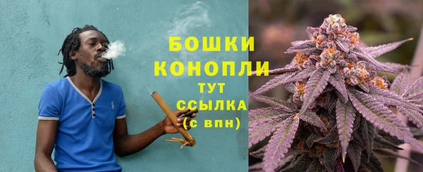 молекула духа Нея