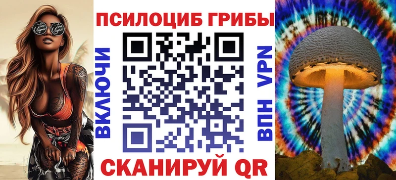 Галлюциногенные грибы Cubensis купить Новороссийск
