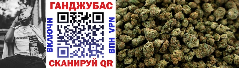 Канабис конопля  нарко площадка официальный сайт  Новороссийск  где найти  